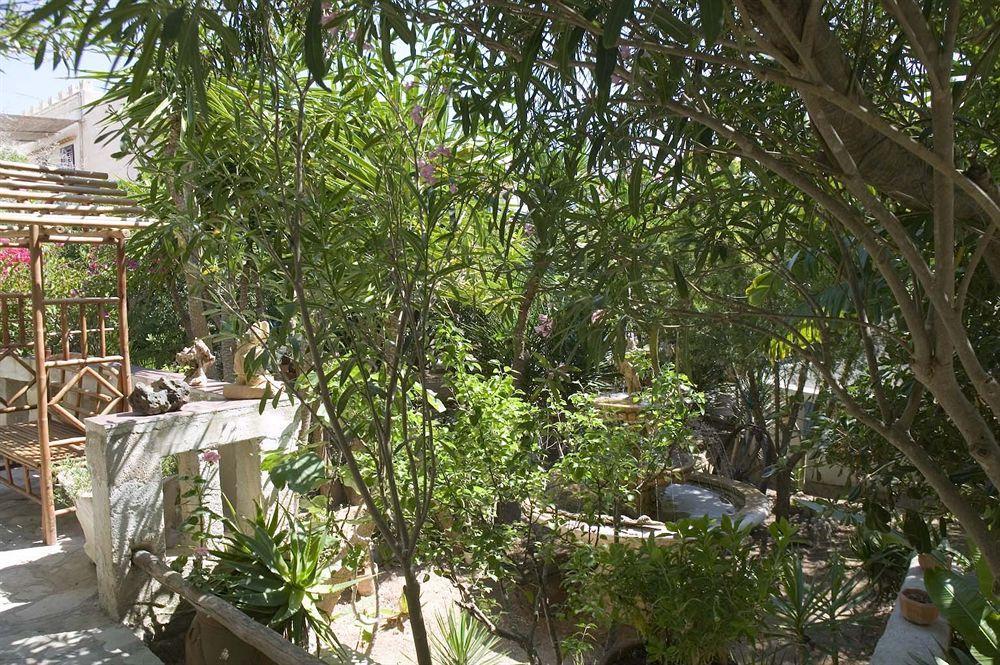L'Oasi Villaggio Albergo Favignana Eksteriør billede